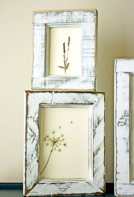 Exlusive SETS Ein Set getrocknete und gepreste Blumen