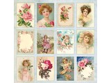 DCWV und Sugar Plum Designerbogen, Rose Garden