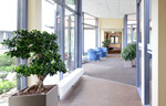 Vier redenen voor planten op kantoor