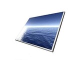 beeldscherm laptop 12.1 inch