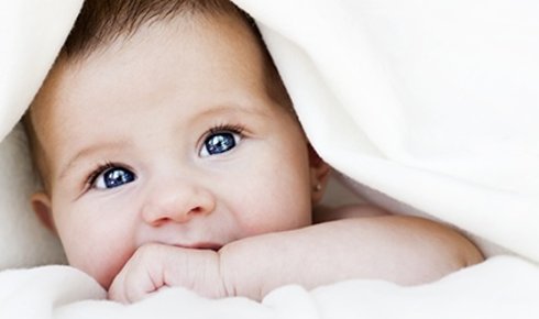 Collectie Kleine Pom