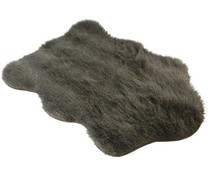 Kleedje Racoon Donker Kleedje Racoon Donker