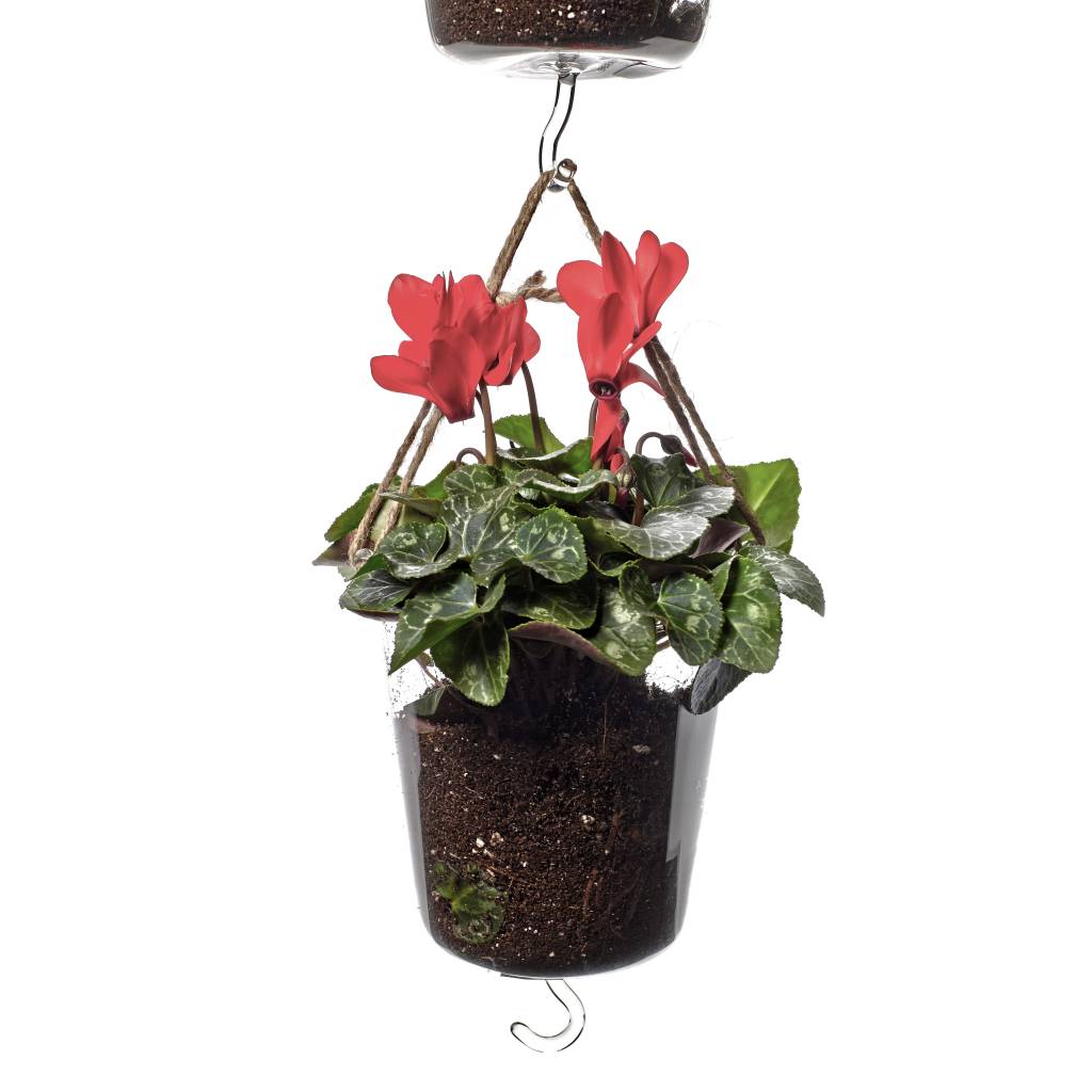 Glass hanging pot Store Without a Home