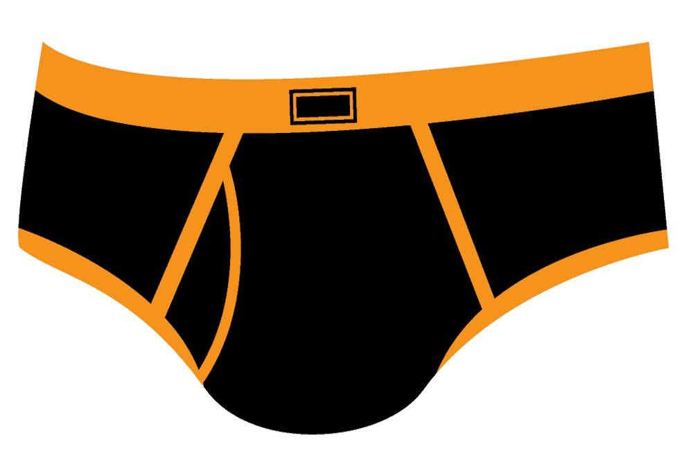 briefs