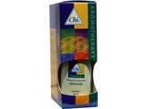 CHI geranium cult egypt CHI geranium cult egypt