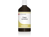 Bonusan Fagus sylvatica Bonusan Fagus sylvatica