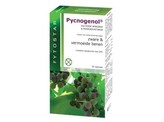 Fytostar Pycnogenol Fytostar Pycnogenol
