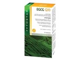 Fytostar egcg q10 Fytostar egcg q10