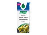 Vogel Solidago Vogel Solidago
