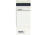 VSM Allium cepa C30 VSM Allium cepa C30