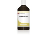 Bonusan Ribes nigrum Bonusan Ribes nigrum