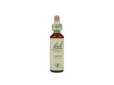 Bach Larch / lariks Bach Larch / lariks