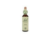 Bach Pine / den Bach Pine / den