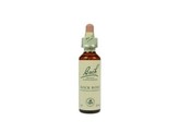 Bach Rock rose / zonneroosje Bach Rock rose / zonneroosje
