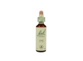 Bach Vine / wijnrank Bach Vine / wijnrank