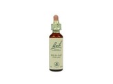 Bach Wild oat / dravik Bach Wild oat / dravik
