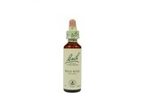 Bach Wild rose / hondsroos Bach Wild rose / hondsroos