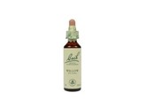 Bach Willow / wilg Bach Willow / wilg