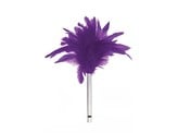 Feather Purple Feather Purple