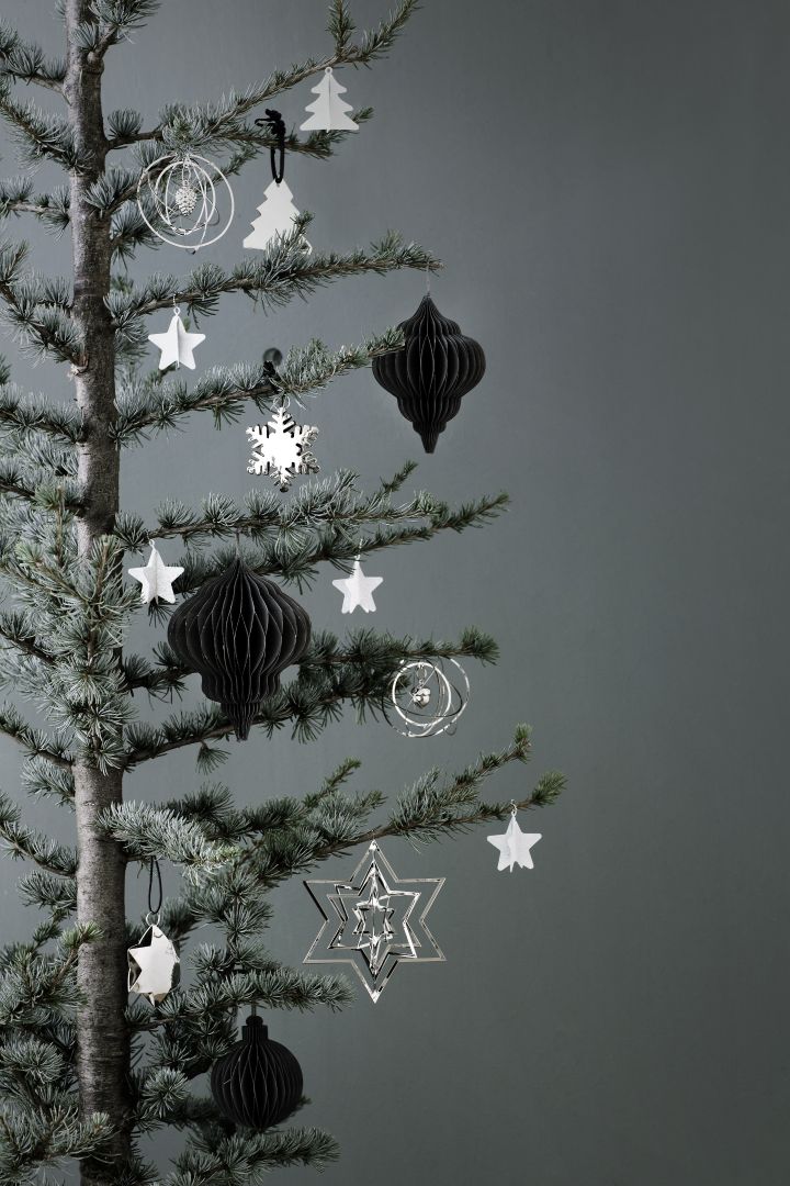 De nieuwe PTMD kerstcollectie