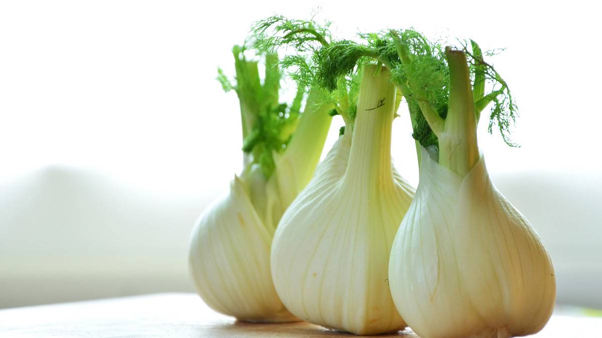 Thunfischtatar mit Fenchel