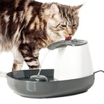 Drinkfontein kat