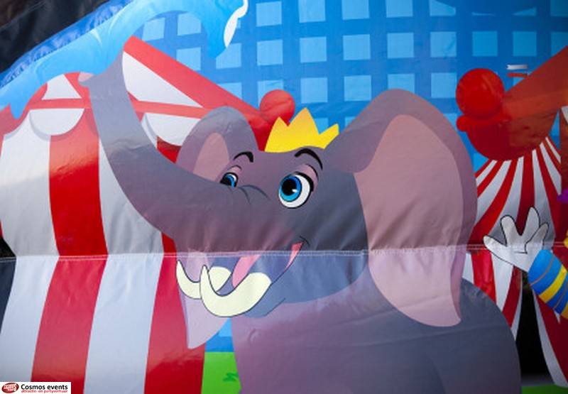 DISCO CIRCUS disco circus: