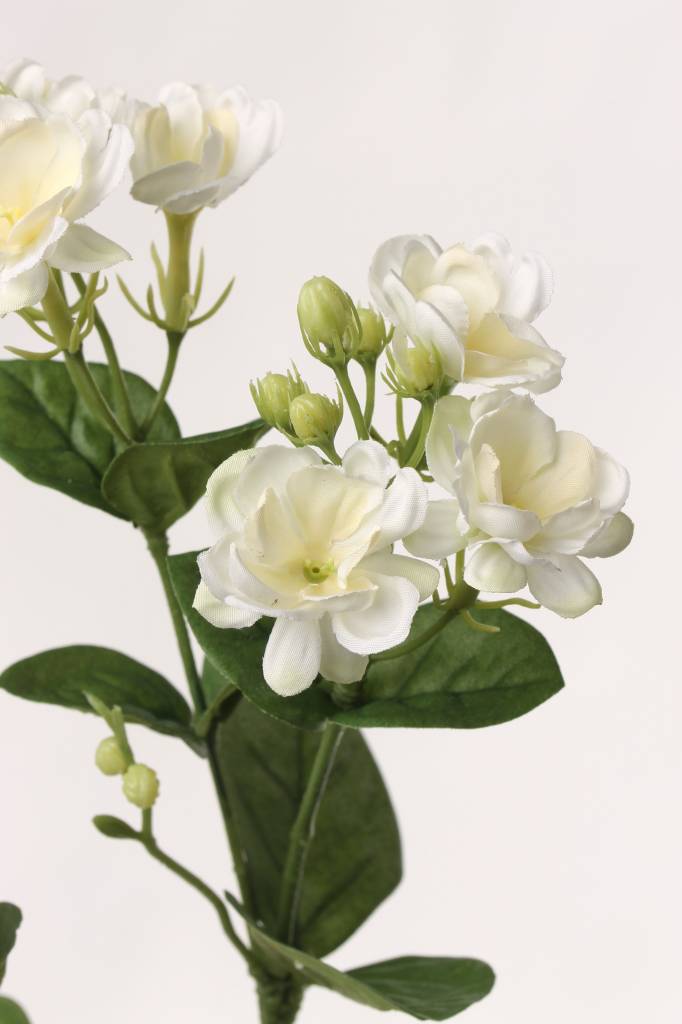 Jasmine branch (Jasminum), x9 flrs, 15 buds & 14 lvs, 60cm Top Art