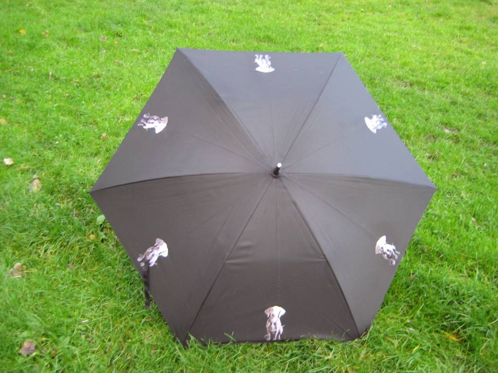 Paraplu met hondenprint