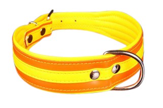 Hondenhalsband Colors Oranje