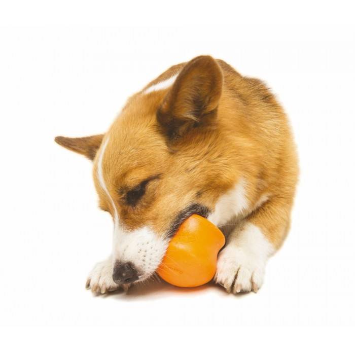 Hondenspeelgoed Zogoflex Toppl Oranje