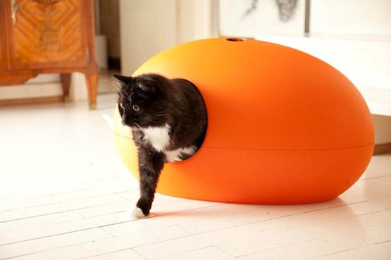 Design Kattenbak Poopoopedo oranje