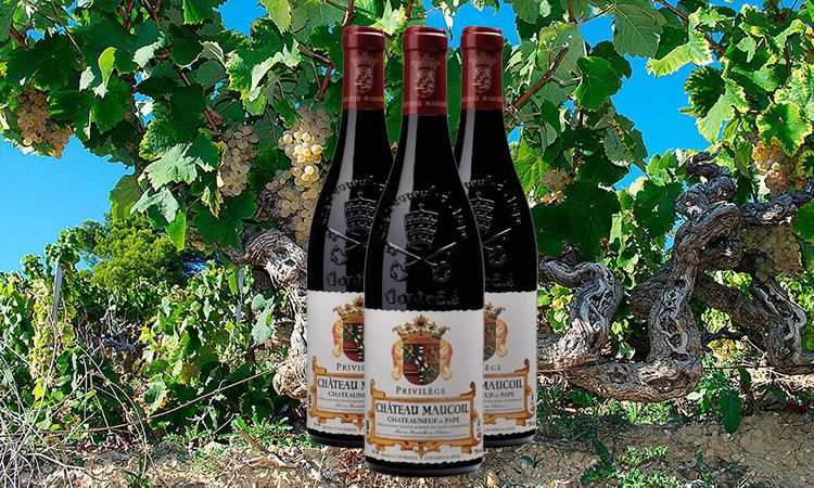 De mooiste Rhône wijnen op de proeftafel.