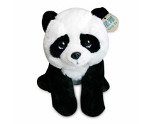 Pandasia Pandasia