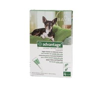 Advantage Hond 4 Pipetten Advantage Hond 4 Pipetten