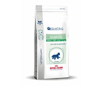 Royal Canin Starter Dog Royal Canin Starter Dog