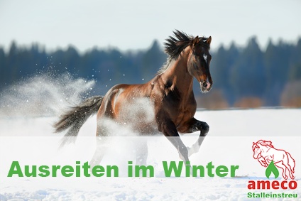 Ausreiten im Winter- Worauf Sie achten sollten