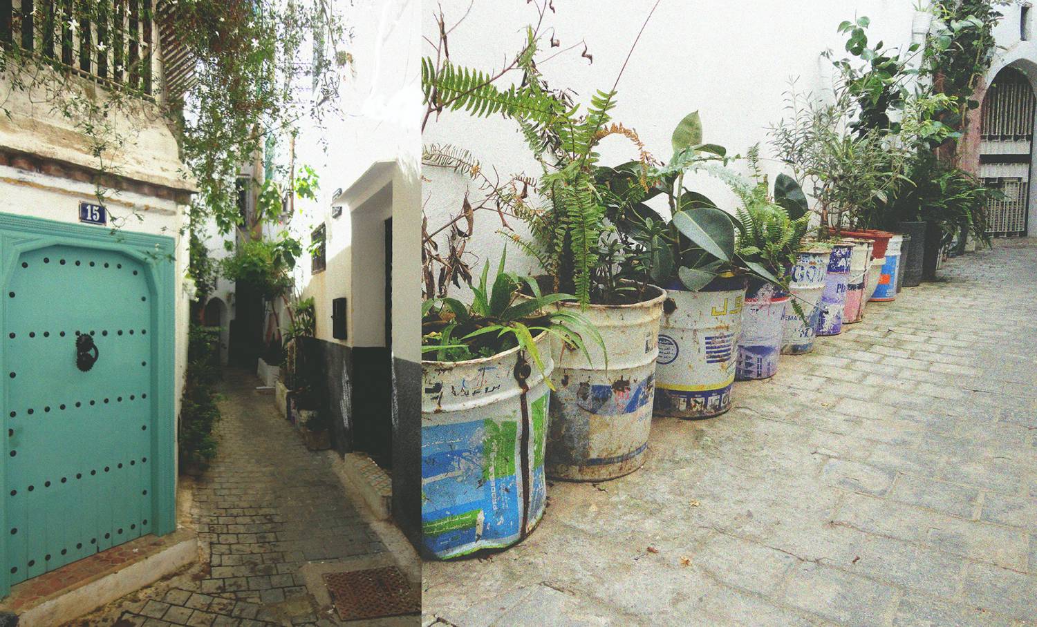 ECO MEDINA