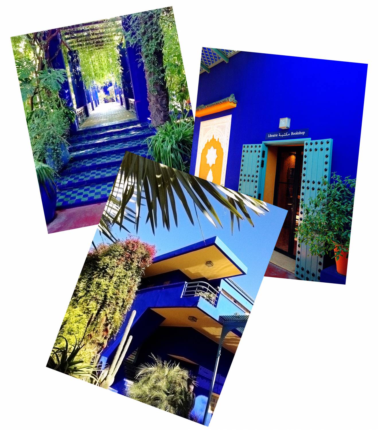 MAJORELLE BLUE