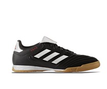 Copa 17.3 IN Copa 17.3 IN