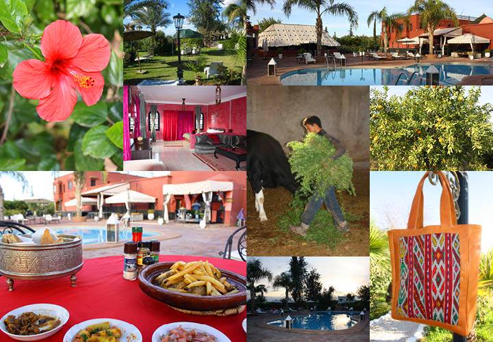 ♡ YDIP ♡ Weedan Hotel