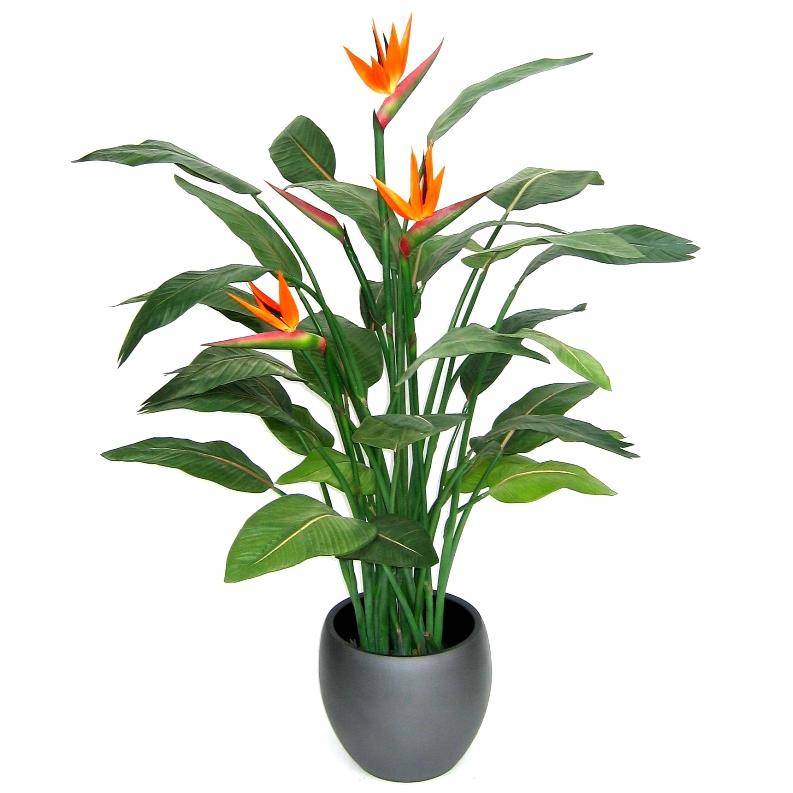 Strelitzia Deluxe Cm Kunstplanten Nl