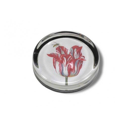 Briefbeschwerer - Tulip Briefbeschwerer - Tulip