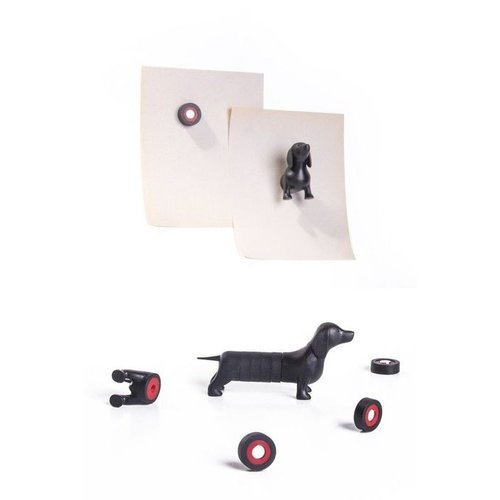 Magnetic teckel Magnetic teckel