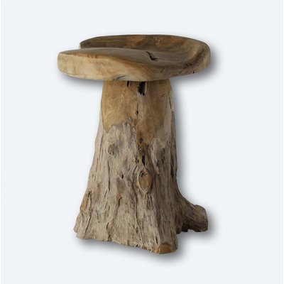 Wurzel-Teak Sitzhocker
