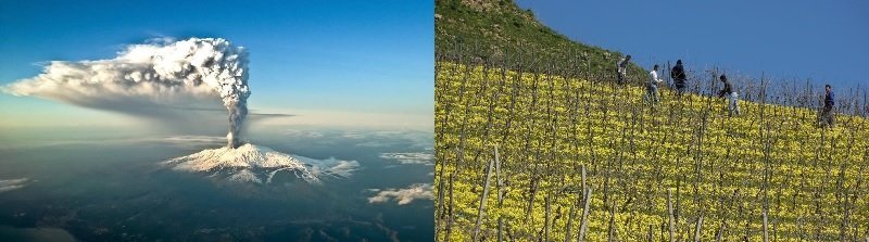 Etna en Siciliaanse kwaliteitswijnen
