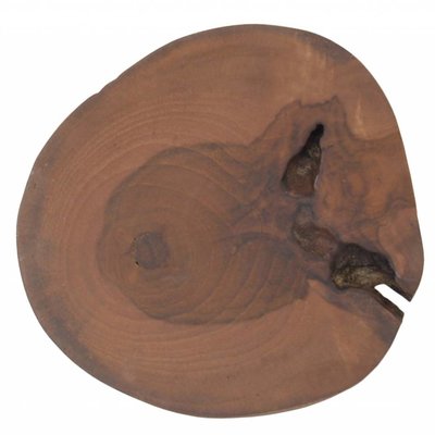 Haken aus Holz 8-10 cm, "tree hook large"