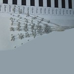 Pareltjes zilver 20 cm Pareltjes zilver 20 cm