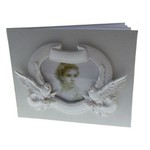 Boek met duiven Boek met duiven