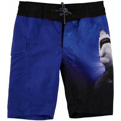 Molo swimshort Under the Shark